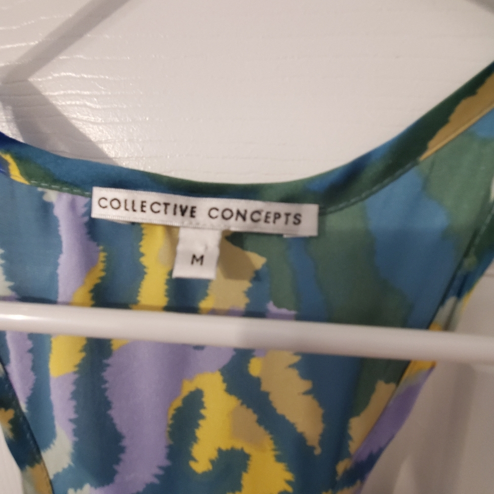 Women's Collective Collection Dress - Picture 4 of 6